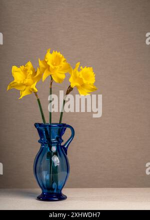 Drei gelbe Narzissen in einer blauen transparenten Vase auf hellgrauem Hintergrund. Frühlingsfrische. Immer noch lebenslange Stimmung, Freude, Postkarte Stockfoto