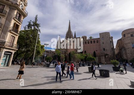 Barcelona, Spanien, 31. Oktober 2023 - die Kathedrale von Barcelona, die stolz im gotischen Viertel steht, ist ein atemberaubendes Beispiel gotischer Architektur. Stockfoto