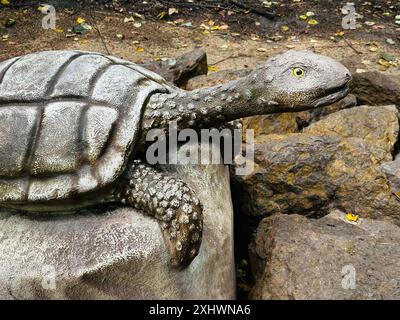 Schildkrötendinosaurier. Realistische Figur eines Schildkröten-Dinosauriers im Waldpark Kazimierz Sosnowiec. Prähistorische Raubtiere bilden ein faszinierendes Element des Stockfoto