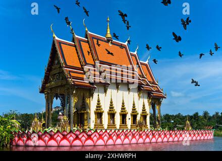 Tauben fliegen über einen Gebetssaal im Tempel Wat Plai Laem, Koh Samu, Thailand Stockfoto