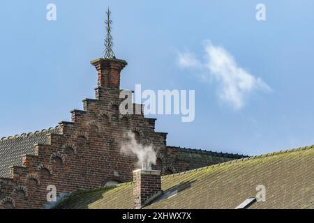 Kaminheizung in Altbauten in Europa. Außenansicht des Daches mit Kamin Stockfoto