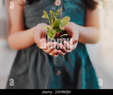 Kind, Pflanze oder Boden in Händen mit Wachstum für Nachhaltigkeit, Entwicklung einer umweltfreundlichen Umwelt oder CO2-Fußabdruck. Lernen, Sandnähe und Stockfoto