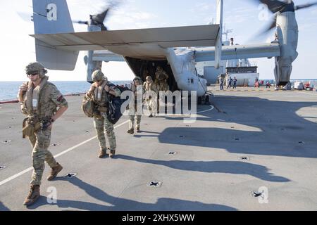 Britische Royal Marines Commandos entladen eine MV-22B Osprey, die der mittleren Tiltrotor Squadron 268 (verstärkt), Marine Rotational Force – zugewiesen wurde Stockfoto