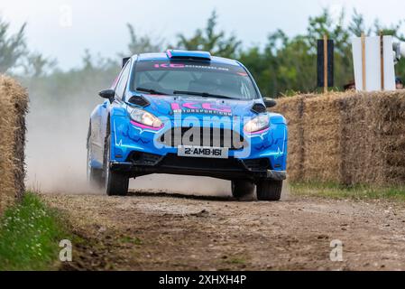 2017 Ford Fiesta R5 Rallyefahrzeug auf der Rallyestufe beim Goodwood Festival of Speed 2024 Motorsport Event in West Sussex, Großbritannien. Stockfoto