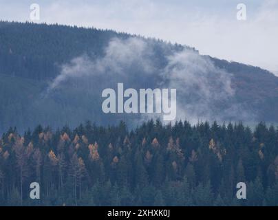 Landschaft und Wald von South Shropshire, von Bury Gratches, einem Ironage Hill Fort in der Nähe von Clun, Shropshire, Großbritannien Stockfoto