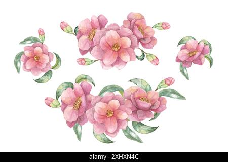 Camelia japonica in Aquarell. Zusammensetzungen rosa vollblütiger Blüten mit Blättern. Cliparts für Kosmetikverpackungen, Textildesign, Hochzeitseinladungen, Wandaufkleber, Grußkarten, Stockfoto