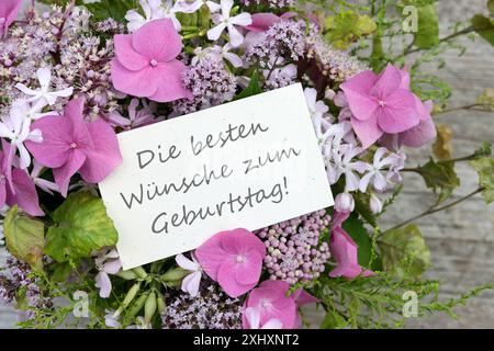 Grußkarte mit rosa Hortensien, soapwort, Oregano und deutschem Text: BEST wishes for your birthday Stockfoto