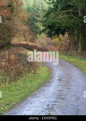 Landschaft und Wald von South Shropshire, von Bury Gratches, einem Ironage Hill Fort in der Nähe von Clun, Shropshire, Großbritannien Stockfoto