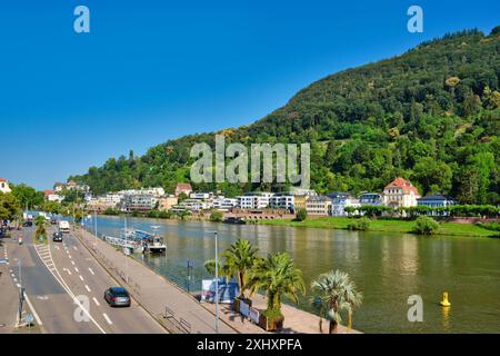 Heidelberg - 28. Juni 2024: Blick über das untere Neckarufer mit Straßen- und Wohnhäusern im Sommer Stockfoto