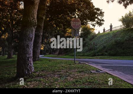 Centennial Park, Sydney, Australien, Sonnenuntergang, Kiefern, ein Stoppschild auf der Avenue unterhalb des alten viktorianischen Wasserreservoirs mit seinem Eisenzaun Stockfoto