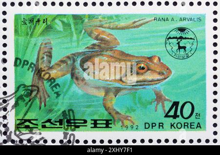 Gestempelte Briefmarke von Nordkorea, die Moorfrosch (Rana arvalis) zeigt, um 1992. Stockfoto