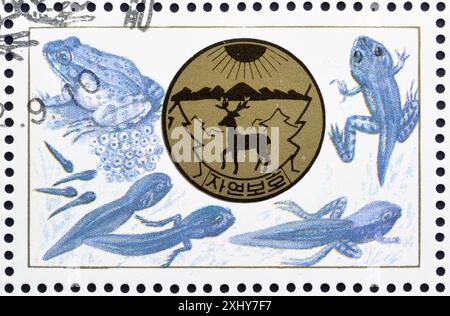 Von Nordkorea gedruckte Briefmarke, die Frösche und Kröten zeigt, um 1992. Stockfoto