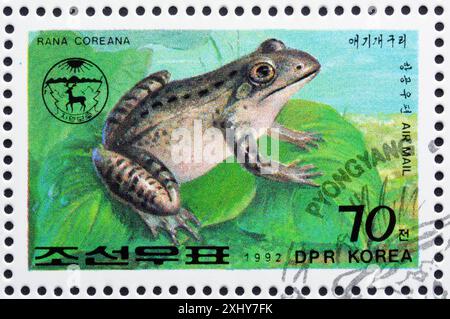 Von Nordkorea gedruckte Briefmarke, die koreanischen Braunfrosch (Rana coreana) zeigt, um 1992. Stockfoto
