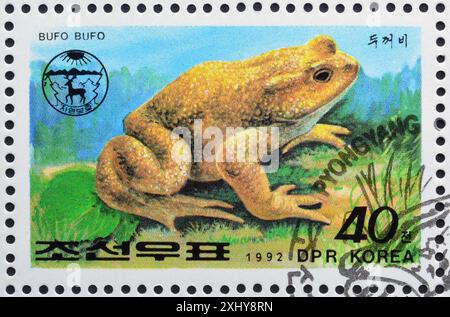 Von Nordkorea gedruckte Briefmarke, die Gemeine Kröte (Bufo bufo) zeigt, um 1992. Stockfoto