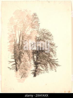 Untersuchung der Spitze einiger Buchen. Skovgaard, P.C. 1817 - 1875 Zeichnung Studie af det øverste af Nogle bøgetræer. Stockfoto