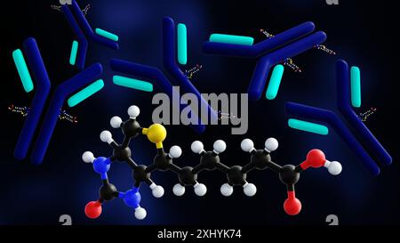 3D-Rendering von biotinylierten Antikörpern, einem speziell entwickelten Protein zur Bindung an bestimmte Moleküle. Stockfoto