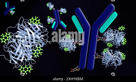 3D-Rendering eines biotinylierten Antikörpers, der mit BODIPY-Molekülen oder hellgrün verbunden ist. Stockfoto