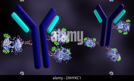 3D-Rendering eines biotinylierten Antikörpers, der mit BODIPY-Molekülen oder hellgrün verbunden ist. Stockfoto