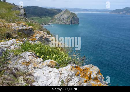 Panoramablick auf die Küste von Liendo Stockfoto