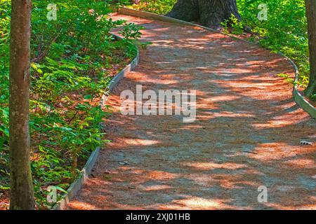 Ozeane und Naturschutzgebiete tragen so viel zur Fantasie von Raum und Genuss bei. Stockfoto