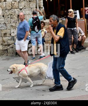 Ein Mann spielt Mundharmonika, während er mit seinem Hund in San Gimignano in der Toskana, Italien, spaziert Stockfoto