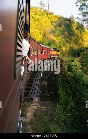 Der Sri-lankische Zug fährt durch üppige grüne Teeplantagen mit Bäumen während einer malerischen Reise durch die Landschaft bei Sonnenuntergang. Stockfoto