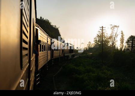 Der Sri-lankische Zug fährt durch üppige grüne Teeplantagen mit Bäumen während einer malerischen Reise durch die Landschaft bei Sonnenuntergang. Stockfoto