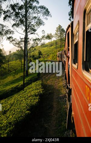 Der Sri-lankische Zug fährt durch üppige grüne Teeplantagen mit Bäumen während einer malerischen Reise durch die Landschaft bei Sonnenuntergang. Stockfoto