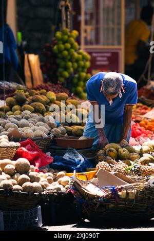 Händler, der sein Gemüse und Obst auf dem Straßenmarkt in Kandy, Sri Lanka, verkauft. Stockfoto