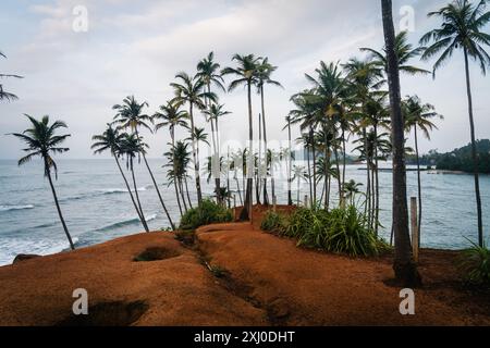 Coconut Tree Hill in Mirissa, Sri Lanka, umgeben von hohen Kokospalmen. Ozean im Hintergrund. Stockfoto