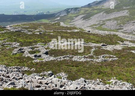 „Town of the Giants“ Hillfort Tre'r Ceiri, Yr Eifl Naturschutzgebiet, Nordwales Stockfoto