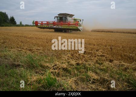 Mähdrescher Uckermark GER, Deutschland, 20240715, Uckermark, Mähdrescher Lexion 770 *** Uckermark GER, Deutschland, 20240715, Uckermark, Lexion 770 Stockfoto