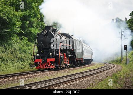 Alte Dampflokomotive, die in einem grünen Wald vorbeifährt. Schwarze Vintage-Lokomotive fährt eine Kurve, während sie an einem sonnigen Tag einen Zug zieht. Stockfoto