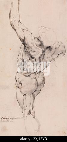 Anatomische Studie (écorché). Stehender Mann, von hinten gesehen, nach links gedreht, linker Arm angehoben. Panneels, Willem 1600–1634, Rubens, Peter Paul 1577–1640 Zeichnung Rubens cantoor: Die Zeichnungen von Willem Panneels: Ein kritischer Katalog, Jan Garff, Kat. Nr. 85, omt. Vol. I, S. 82, afb. Vol. II, Platte. 87, 53904, 1988. Ideal og virkelighed: Mennesket i kunsten von Alexander den Store til dronning Kleopatra, Ubekendt, Kat. Nr. 298, D 23206, 1995. Meisterzeichnungen: Die Klassifizierung der Zeichnungen im sogenannten Rubens'Cantoor; die Klassifizierung der Zeichnungen im sogenannten Rubens'Cantoor Stockfoto