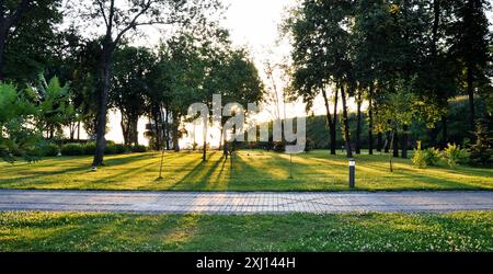 Sonnenaufgang in einem Park. Bäume im Licht der aufgehenden Sonne werfen langen Schatten auf ein Gras. Stockfoto