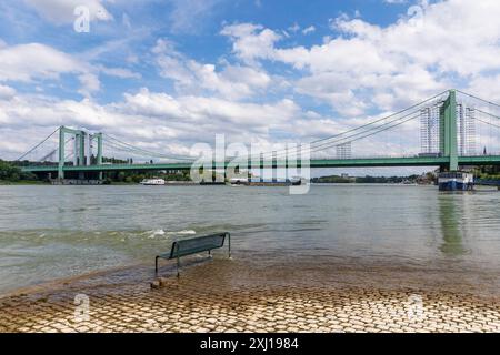 Die Rodenkirchener Brücke über den Rhein, Brücke der Autobahn A4, leichte Überschwemmung, Köln, Deutschland. Die Rodenkirchener Bruecke ueber den Rhein, Stockfoto