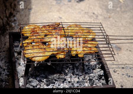 Saftige, gewürzte Hähnchenstücke werden auf einem Metallgrill über heißen Kohlen perfekt gegrillt, um die Essenz eines rustikalen Grillerlebnisses im Freien festzuhalten Stockfoto