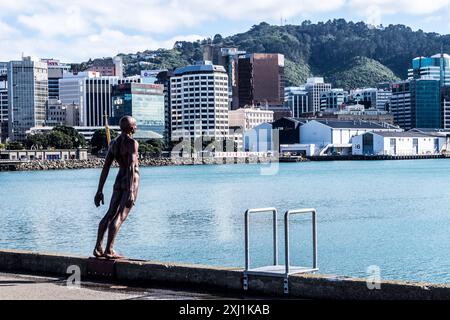 Solace in the Wind, Bronzeskulptur eines Tauchers von Max Patte, 2008, Wellington Harbour, Neuseeland Stockfoto