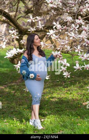Porträt einer niedlichen schwangeren Frau im Park, gekleidet in einem blauen Kleid zwischen Magnoli-Blumen. Die werdende Mutter schaut zärtlich auf einen blühenden Baum. Stockfoto