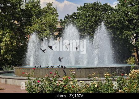 ODESA, UKRAINE - 13. JULI 2024 - Tauben bleiben an einem heißen Sommertag in Odesa, Süd-Ukraine, an einem Brunnen. Stockfoto