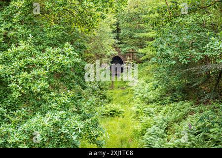 Der blockierte Eingang zum 775 m langen Mierystock Tunnel (eröffnet 1874) an einer Mineralbahnstrecke im Forest of Dean bei Brierley, Glouceste Stockfoto