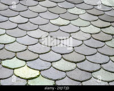 Attraktive Schiefer-Dachziegel in Fisch- oder Drachengröße aus abgerundeten grauen und grünen Schiefern auf einem Gebäude in Zentral-Norwegen Stockfoto