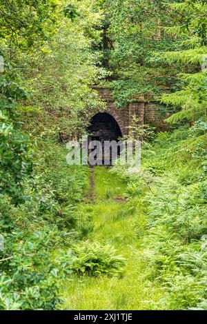 Der blockierte Eingang zum 775 m langen Mierystock Tunnel (eröffnet 1874) an einer Mineralbahnstrecke im Forest of Dean bei Brierley, Glouceste Stockfoto