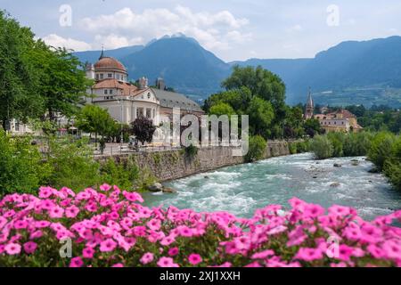 Meran, Südtirol, Italien - Kurhaus am Fluss Passer, an der Passerpromenade in der Altstadt. Vorne rosa Blumen auf der Thermenbrücke. Meran Süddtirol Italien *** Meran, Südtirol, Italien Kurhaus an der Passer Promenade in der Altstadt Rosa Blumen vor der Thermalbrücke Meran Südtirol Italien Stockfoto