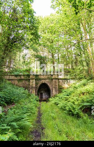 Der blockierte Eingang zum 775 m langen Mierystock Tunnel (eröffnet 1874) an einer Mineralbahnstrecke im Forest of Dean bei Brierley, Glouceste Stockfoto