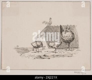 Eine Lithografie, die männliche Hühner (Hähne) zeigt, die ihr Gefieder und ihre Haltung zeigen, erstellt von Kittendorff und Lundbye. Stockfoto