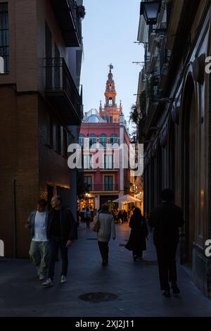 Sevilla, Spanien. 4. Februar 2024 - Abendspaziergang durch eine enge Straße mit Blick auf den Giralda-Turm Stockfoto