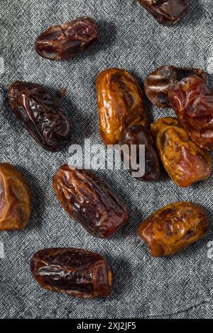 Rohe Bio-arabische Medjool-Datteln bereit zum Verzehr Stockfoto