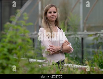 Neuenhagen Bei Berlin, Deutschland. Juli 2024. Jessica Görß, Eigentümerin der Baumschule Wildblüten, steht hinter den grünen Blättern grüner Pflanzen. Das Brandenburgische Umweltministerium und die Deutsche Gartenbaugesellschaft (DGG) haben die Schafgarbe (Achillea millefolium) in der Gärtnerei als „Wildpflanze des Landes Brandenburg“ bezeichnet. Gleichzeitig wurde der 2019 von Jessica Görß gegründete Gartenbaubetrieb als erste Wildpflanzenschule Brandenburgs des Jahres geehrt. Quelle: Soeren Stache/dpa/Alamy Live News Stockfoto