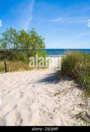 Blick auf das Meer durch die Dünen. Schlechtes Meer, Ostsee Stockfoto